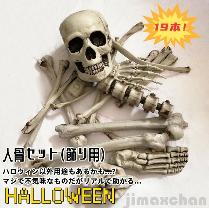 楽天市場】雑貨 ハロウィン 骨セット19個入り おもちゃ リアル 