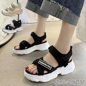 T_ fB[X  s T_ X|[cT_ r[`T_ y ʋC r bNXT_ EH[LOV[Y RtH[gT_ w Vv