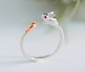 Cy ETMƃjW w ETM rbg rabbit ET e  O ETMw ETMO `[t  j v[g Aj} O 