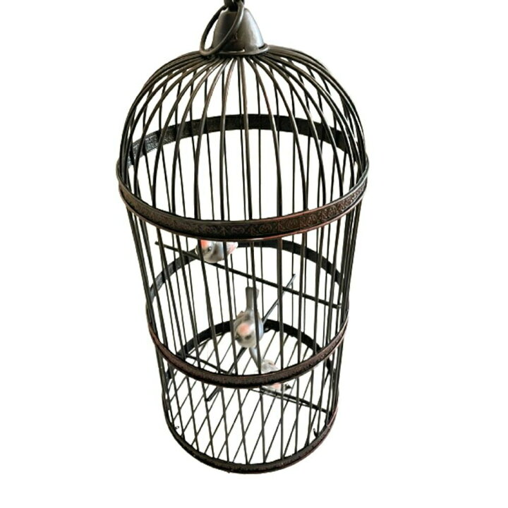 楽天市場】気楽 ペット用品 鳥籠 アイアン バード ケージ 53cm リング 