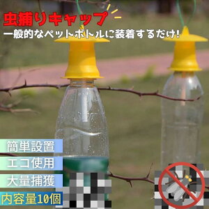 Cy  F Lbv̂ ybg{gTCY 10 XgO ߂ ̂ F CG[ Qߊl ߒ{g Q΍pi  ֗ObY ȒPݒu S