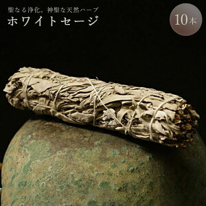 Cy VRn[u zCgZ[W 10{ Ȃn[u VR N  tOX [    q[O q[ bNX ؂₩  AWA