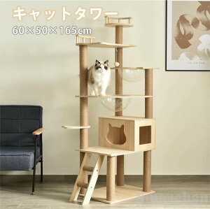 �C�y �Z�[�� �L���b�g�^���[ �F���D�t�� �L�^���[ �L�n�E�X �L���b�g�|�[�� �����u���^