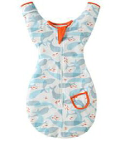 y[z[֑@xr[̐Q܁@鋃΍@Ύ@肪o^Cv@[ˑ΍@V@xr[pi@މ@@oYj@݁@oY@@ʔN@~tH@