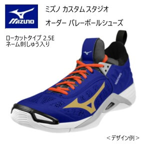 s󒍐Ytst~Ym XyNg I[_[ o[{[V[Y EG[u^ [Jbg 2.5E l[hイ V1GX234500