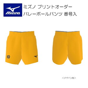 s󒍐Ytst~Ym vgI[_[ o[{[EFA Y Q[pc eNmXp[NXgb`2f XtBbg ҉13cm V2JQ8001 ԍ {̃J[ 48 I[