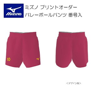 s󒍐Ytst~Ym vgI[_[ o[{[EFA Y Q[pc eNmXp[NXgb`2f XtBbg ҉13cm V2JQ8001 ԍ {̃J[ 64 x