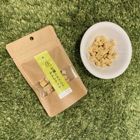 楽天市場 犬 牡蠣の通販
