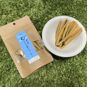 Jimmy's Paw W~[YpEy˓YAiSW[L[20gz  L Y   Ic p ̂ L̂ lR̂ lR Lp W[L[ J