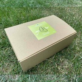 Jimmy's Paw ジミーズパウ 牡蠣100%スープ 10パックセット 120g×10 犬 猫 スープ 詰め合わせ セット 無添加 ドッグフード 犬ご飯 キャットフード ウェットフード 老犬 パピー 子犬 水分補給 犬餌 猫餌 犬ごはん ペットご飯 猫ご飯 健康 ギフト 贈り物