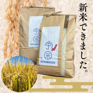 y V zߘa7Nx  ÎY RVqJ10kg h F h ܂    (kCA)  Hi j  Ε 10L 2025N