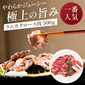 ラムカタロース肉500gパック（タレ1本付き）羊肉 仔羊肉 ラム肉 カタロース肉 生ラム肉 肩ロース あんべ ジンギスカン じんぎすかん お花見 秘伝のタレ たれ 岩手県 遠野 人気 売れ筋 お取り寄せ グルメ 通販 お花見 ギフト プレゼント バーベキュー BBQ