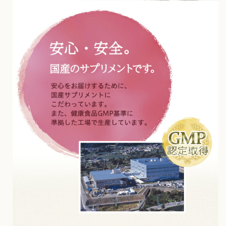 楽天市場】【ジネコ公式】妊活サプリ「プレグナ女性用」医師と共同開発 