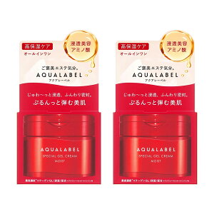 y2Zbgz  ANA[x XyVWFN[ EX iCXgj 90g SHISEIDO AQUALABEL I[C XLPAN[ ێ WFN[