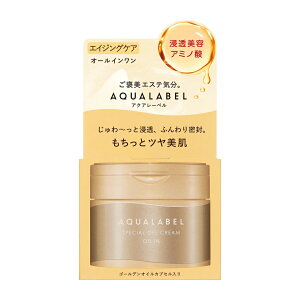  ANA[x XyVWFN[ EX iICCj 90g SHISEIDO AQUALABEL I[C XLPAN[ GCWOPA WFN[