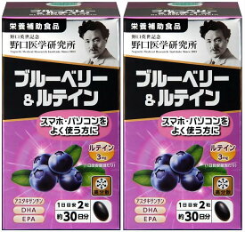 【2個セット】野口医学研究所 ブルーベリー＆ルテイン 60粒x2 DHA EPA サプリメント栄養補助食品 健康維持サプリ【4562193141831】