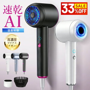 �����z���\�yAI���x�ؑւ�&�c�����C�I���z �w�A�h���C���[ �啗�� ���� �h���C���[ �}�C�i�X�C�I�� �w�A�[�h���C���[ 1300W �����h���C���[ �_���[�W �y�� �y�� ��M�� �ᑛ�� ���e�Ɠd �R