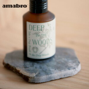 yAMABRObA}uzCORAL COASTER R[ R[X^[ gC amabro VR TS WXp[ R[X^[ ANZT[gC VRf ~ߕt CeA CeA