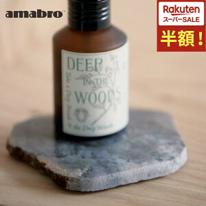 _X[p[Z[zI^yAMABRObA}uzCORAL COASTER R[ R[X^[ gC amabro VR TS WXp[ R[X^[ ANZT[gC VRf ~ߕt CeA