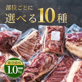 猪肉 イノシシ肉 1kg【部位ごとに選べる10種】ブロック 選べる ジビエ 里山食品 石川県 奥能登 お取り寄せ ギフト お礼 手土産 石川土産 奥能登土産