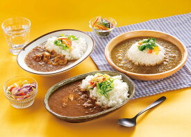 冬ギフト 冷凍カレー(3種) 金澤ななほしカレー 石川県 金沢 お取り寄せ ギフト お礼 手土産 石川土産 金沢土産 カレー 金澤カレー