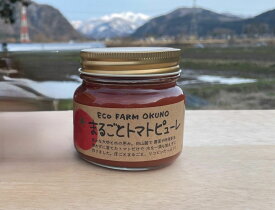 お中元 トマトピューレ(225ml) エコファーム奥野 石川県 白山 お取り寄せ ギフト ピューレ 無農薬 オーガニック 2個セット