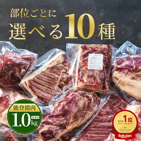 猪肉 イノシシ肉 1kg【部位が選べる10種｜奥能登のジビエ】国産 癖が少ない しなやかな肉質 極上ジビエ ブロック 石川県 里山食品 お取り寄せ ギフト お礼 手土産 石川土産 奥能登土産
