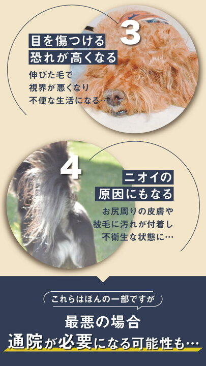 楽天市場 楽天ランキング3位獲得 高評価 あす楽 犬 バリカン ペット用 犬用 トイプードル セルフ トリミング 充電式 コードレス プロ仕様 犬 猫 うさぎ トリマー 1年保証 日本語説明書付 お手入れ 水洗い アタッチメント 3mm 6mm 9mm 12mm Jinshop 楽天市場店