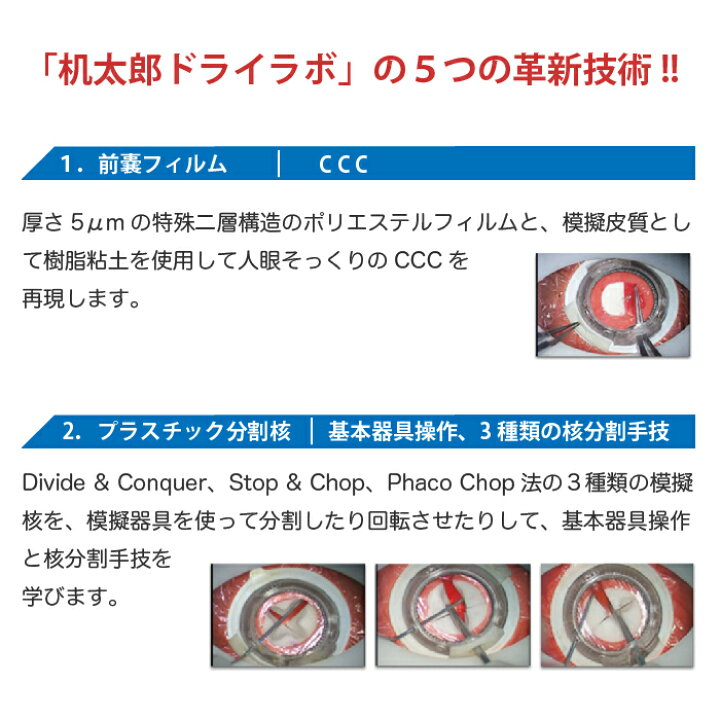 楽天市場】机太郎 ドライラボ模型 白内障手術練習用模擬眼 眼科手技 