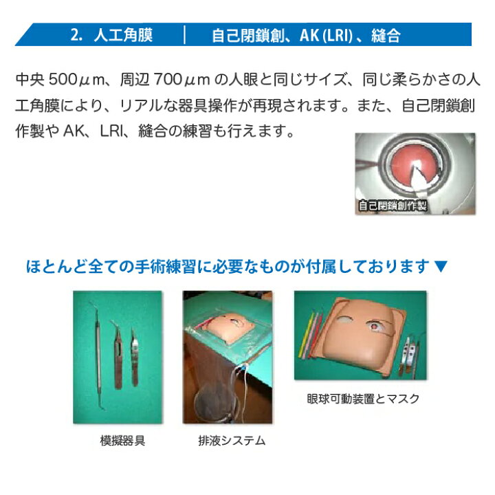 楽天市場】机太郎ウェットラボ模型 OM008 白内障手術練習用模擬眼 眼科 