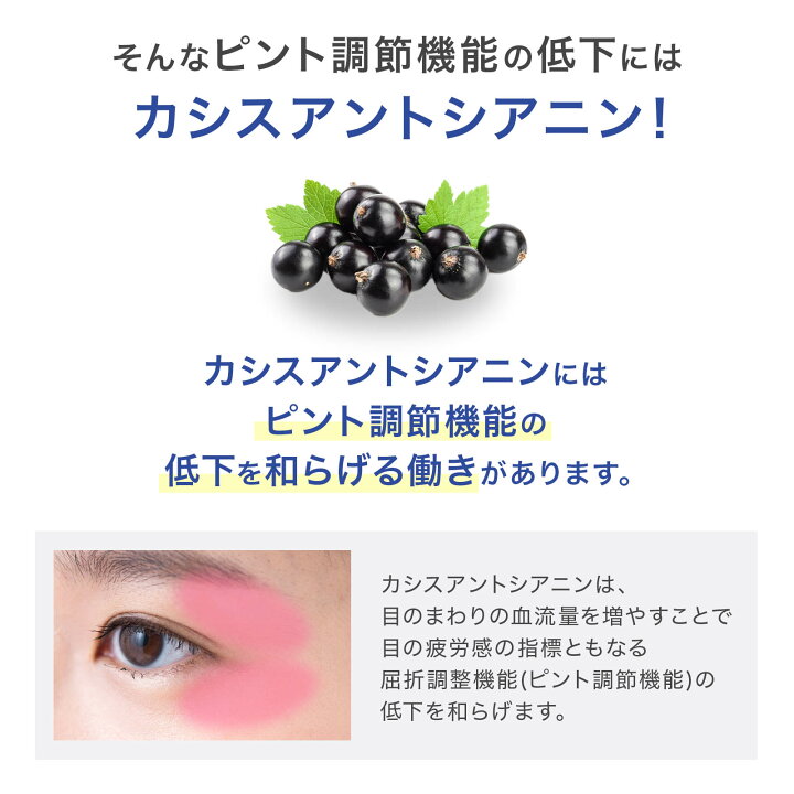 楽天市場】【ポイント5倍・10%OFF・送料無料】【森下仁丹公式】ヘルス  