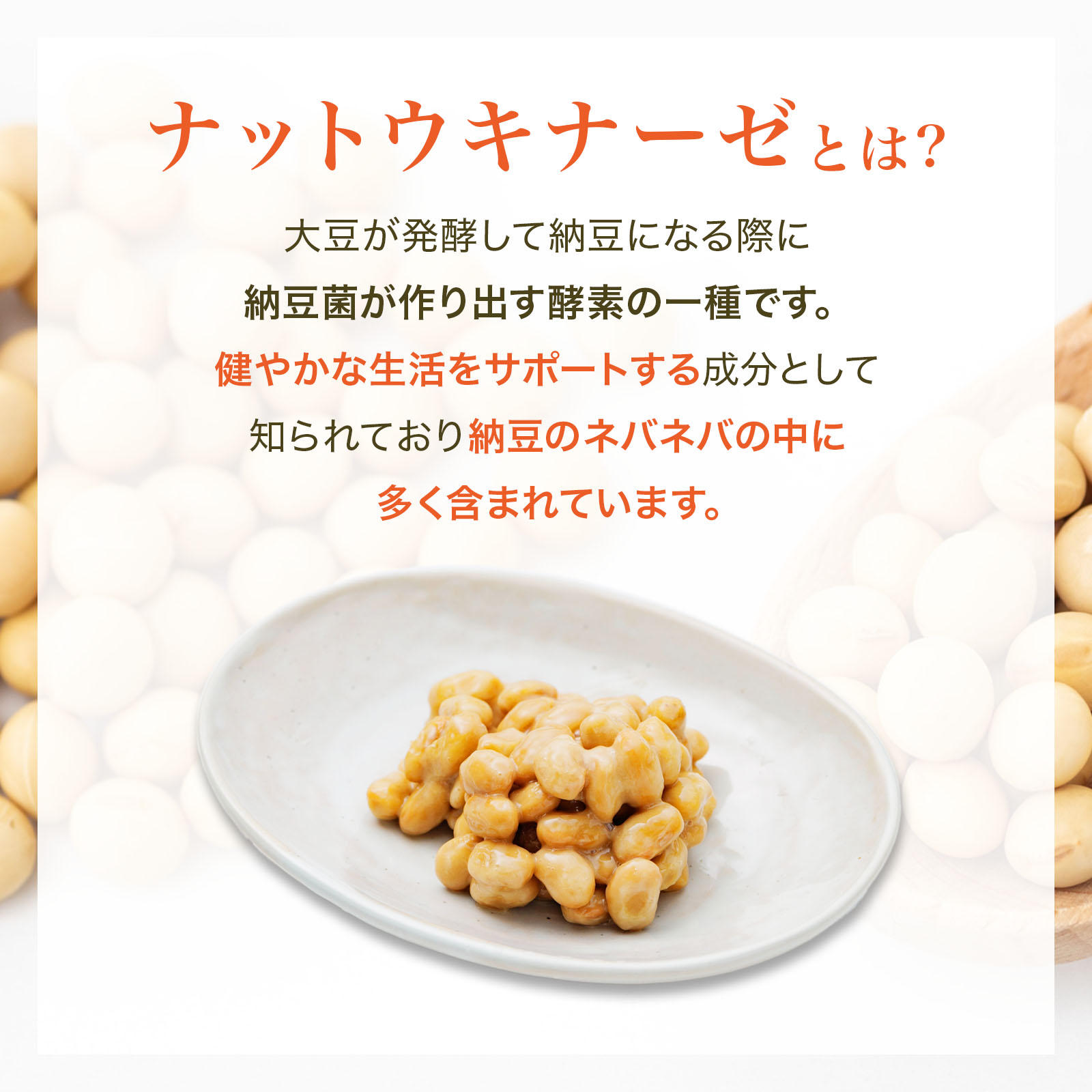 ナットウキナーゼ 60包 (約30〜60日分) サプリメント サプリ 手軽 納豆