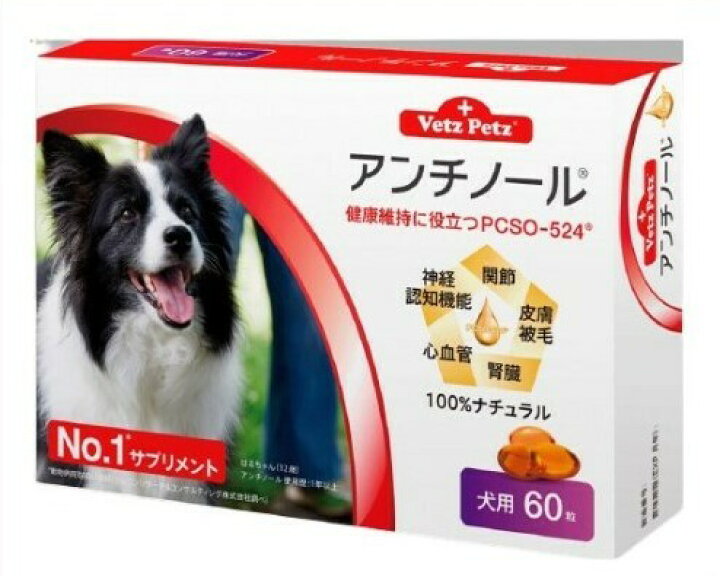 楽天市場 送料無料 アンチノール 犬用 60粒 健康 関節 腎臓 心血管 認知症 サプリメント 仁友堂 楽天市場店