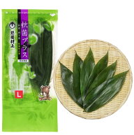 【季節の節句飾りに最適】国産 新潟県産 熊笹 Lサイズ 管理栄養士推薦 抗菌効果＋乾燥防止 お正月 飾りや…
