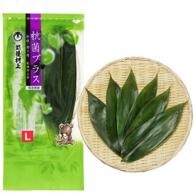 【季節の節句飾りに最適】国産 新潟県産 熊笹 Lサイズ 管理栄養士推薦 抗菌効果＋乾燥防止 お正月 飾りや敷き笹に最適