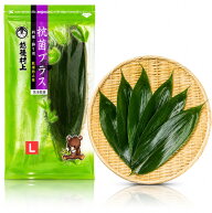 【季節の節句飾りに最適】国産 新潟県産 熊笹 Lサイズ 管理栄養士推薦 抗菌効果＋乾燥防止 お正月 飾りや…