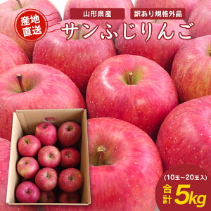 y11{蔭z 󂠂  Tӂ 5kg ƒp R`Y 10`20ʓ  ʕ t[c S ь ӂ  p p e Ղ  Y  t