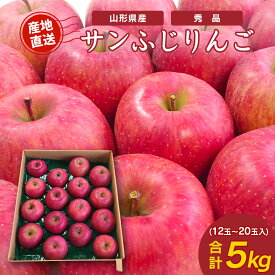 ＜先行予約＞ りんご サンふじ 山形県産 秀品 5kg 12～20玉入り 果物 フルーツ りんご 林檎 蜜入り お取り寄せ 直送 グルメ フルーツ王国 山形 令和6年産 2024年産 送料無料