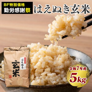 yubNtCf[ΘJӍՁzyߘa7NYzV   R`Y͂ʂ5kg  V 200 ʃZ[   O  R` uh 2025NY N