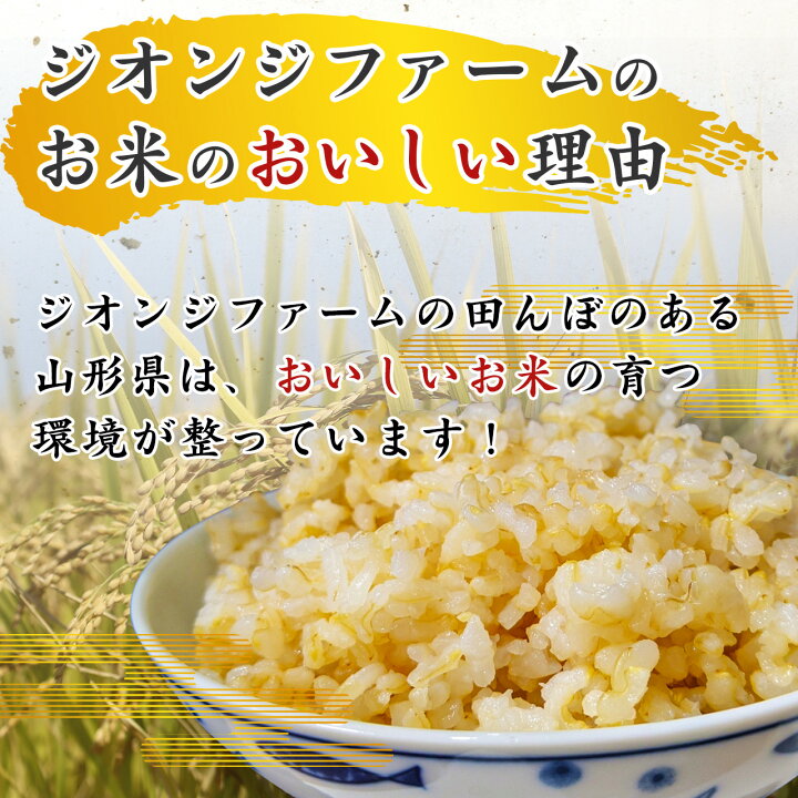 楽天市場】【令和7年産】はえぬき 玄米 5kg 新米 米 山形県産 選べる 