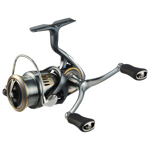 _C 23 GAeB LT2500S-DH 23 GAeB LT2500S-DH DAIWA 23AIRTY