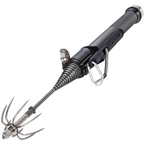 ꐸH I[gLOMt CS300(K^) 32118 DAIICHISEIKO