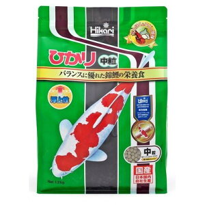 Sh{̍iьp Ђ  1.2kg L[ qJ`Ecu1.2KG
