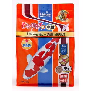 x[X̑ړI Ђ   1.2kg L[ qJnCKEL`Ecu1.2KG