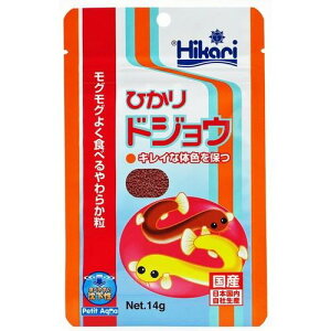 {YW ЂhWE 14g L[ qJhWE14G