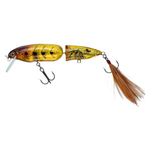 _C XeB[Y N| 81F (Gr{C) XeB[YN|81F(Gr{C) DAIWA STEEZ oXA[