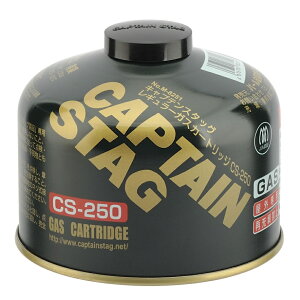 LveX^bO M-KXJ[gbW CS-250 M-8251