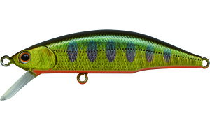 ジャクソン メテオーラ 52 SKY キンヤマメ メテオーラ 52 SKY キンヤマメ Jackson METEORA トラウトルアー