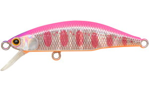 WN\ eI[ 45 PYW sN} eI[ 45 PYW sN} Jackson METEORA gEgA[