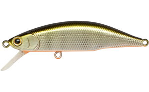 WN\ eI[ 70 TSD elV[Vbh eI[ 70 TSD elV[Vbh Jackson METEORA gEgA[